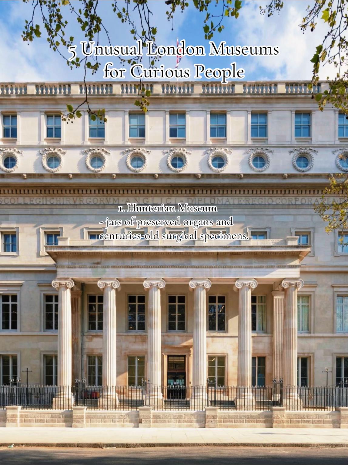 Unsettling London Museums Full Of Strange Curiosities
