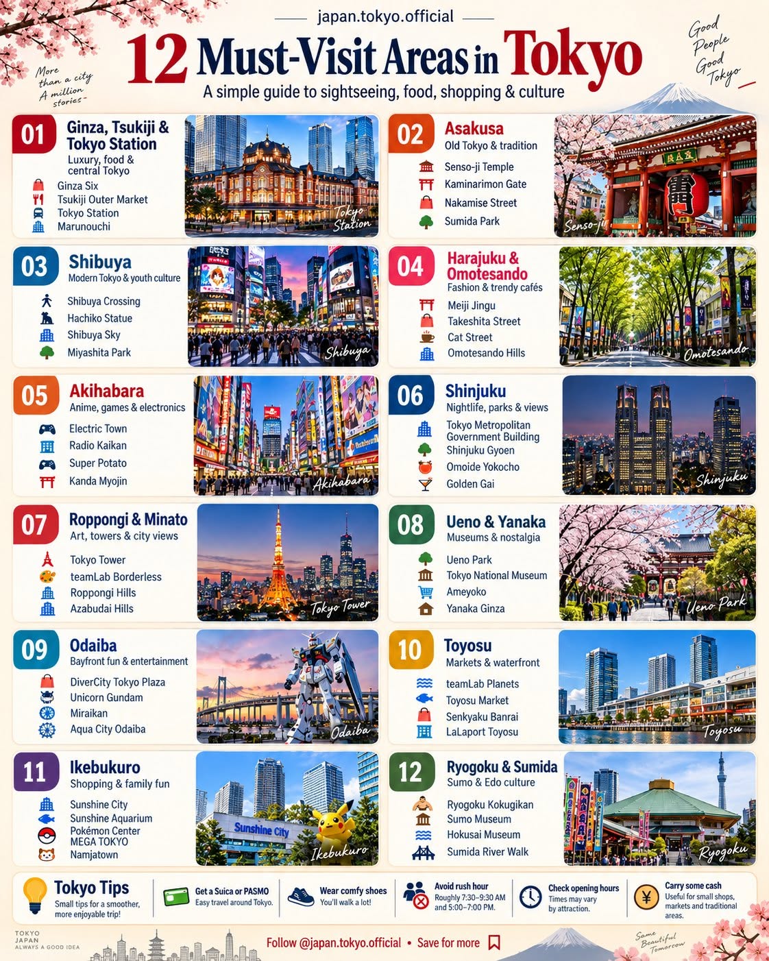 Tokyo's Diverse Districts: From Culture to Nightlife