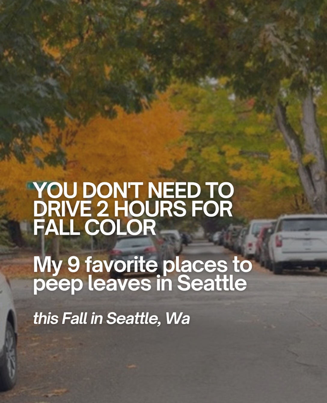 Seattle Parks For Beautiful Fall Colors