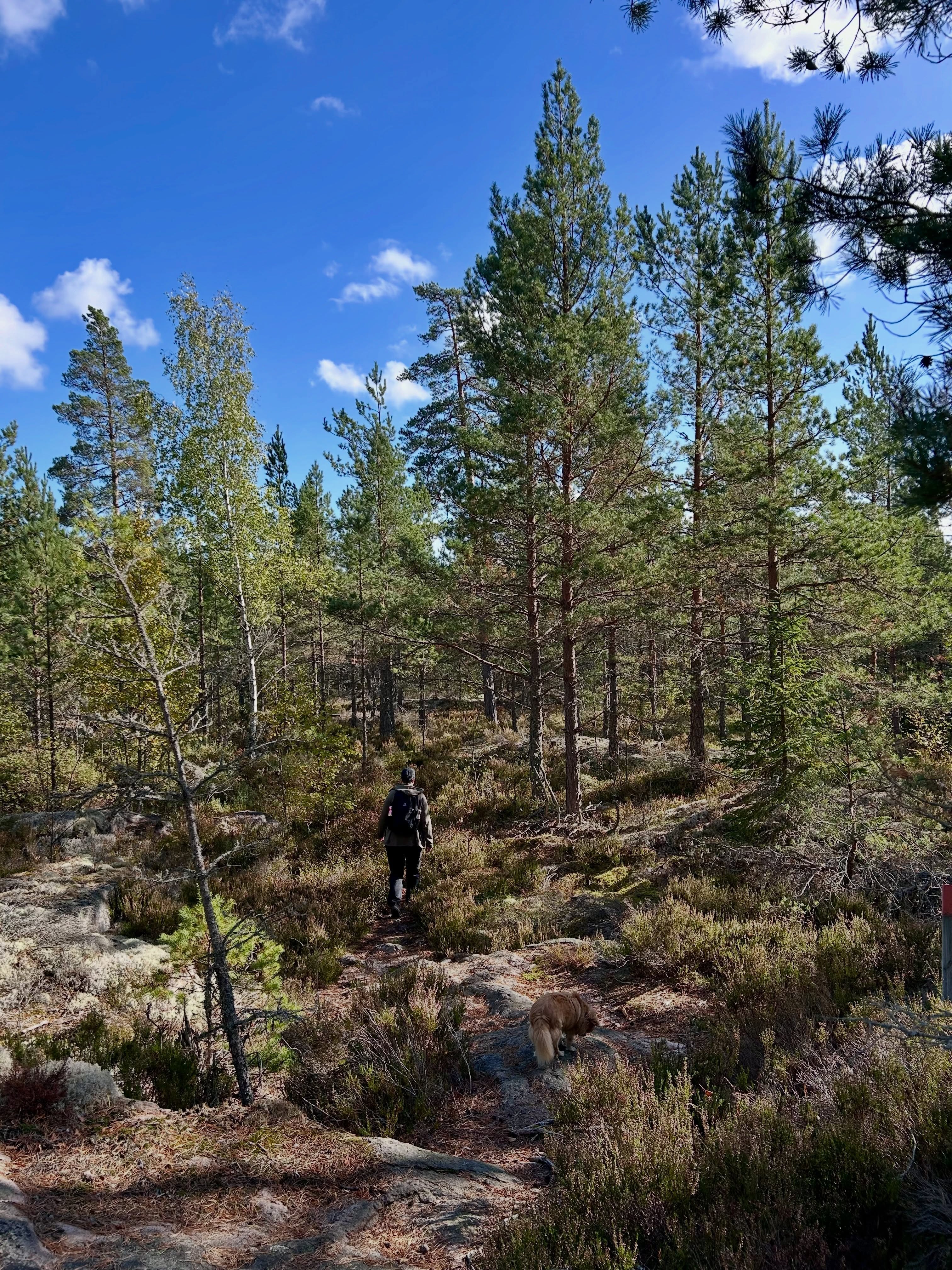 Hiking Fjällmossen Nature Reserve and Lake Lilla Göljen