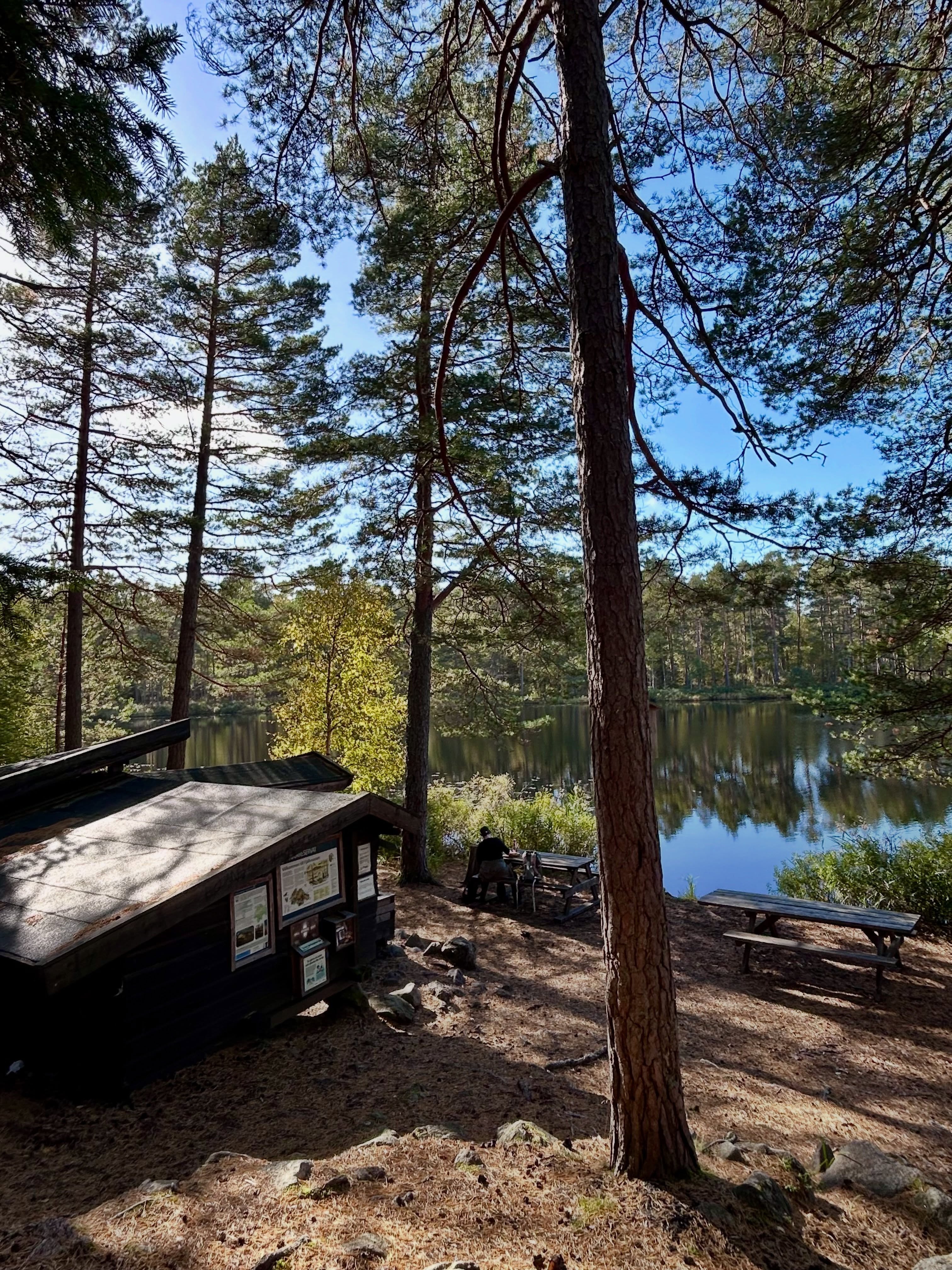 Nature Reserve Features A Large Bog Complex