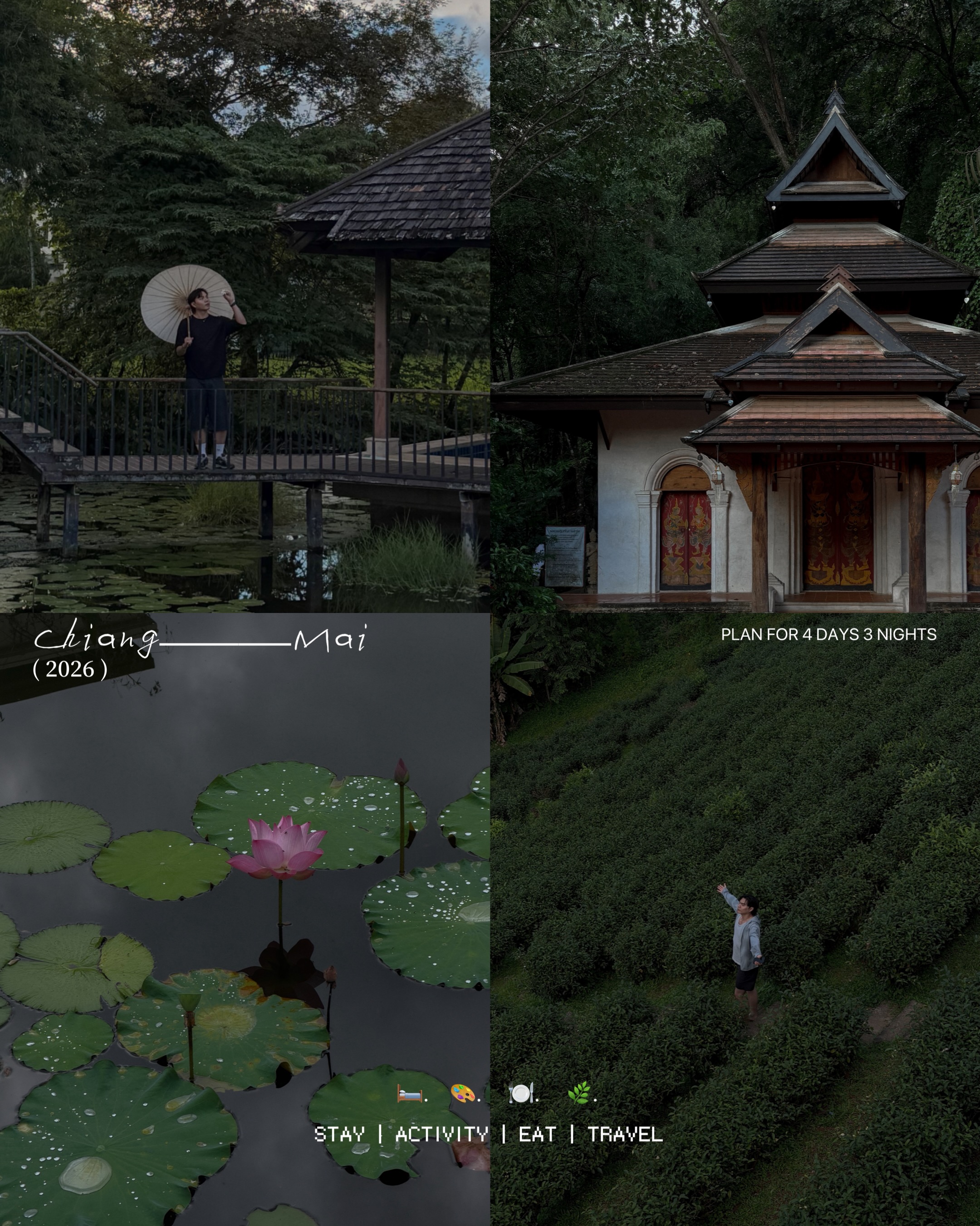 Chiang Mai: Temples, Cafes, and Unique Stays