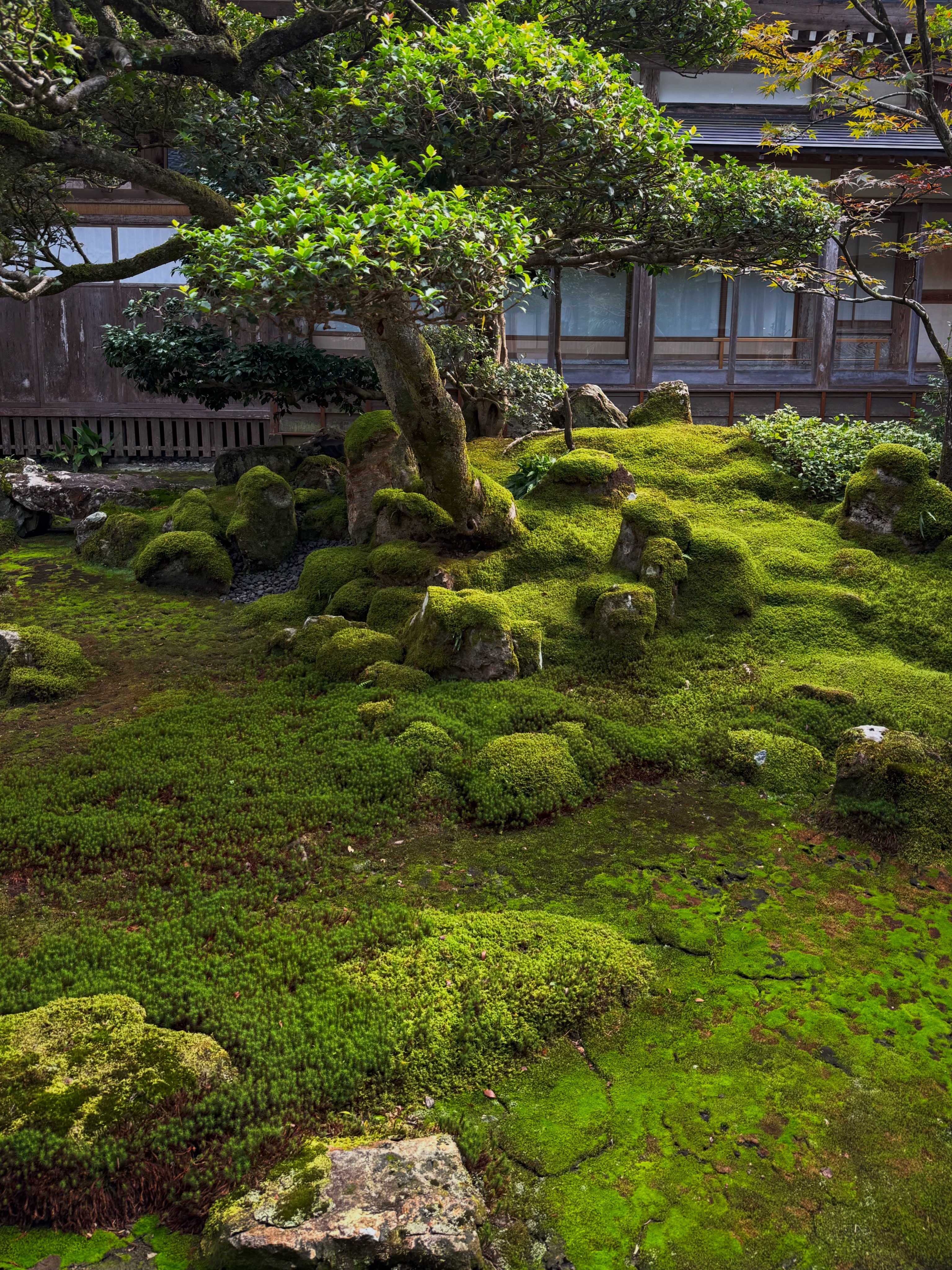 Temples and Shrines with Moss Gardens in Niigata