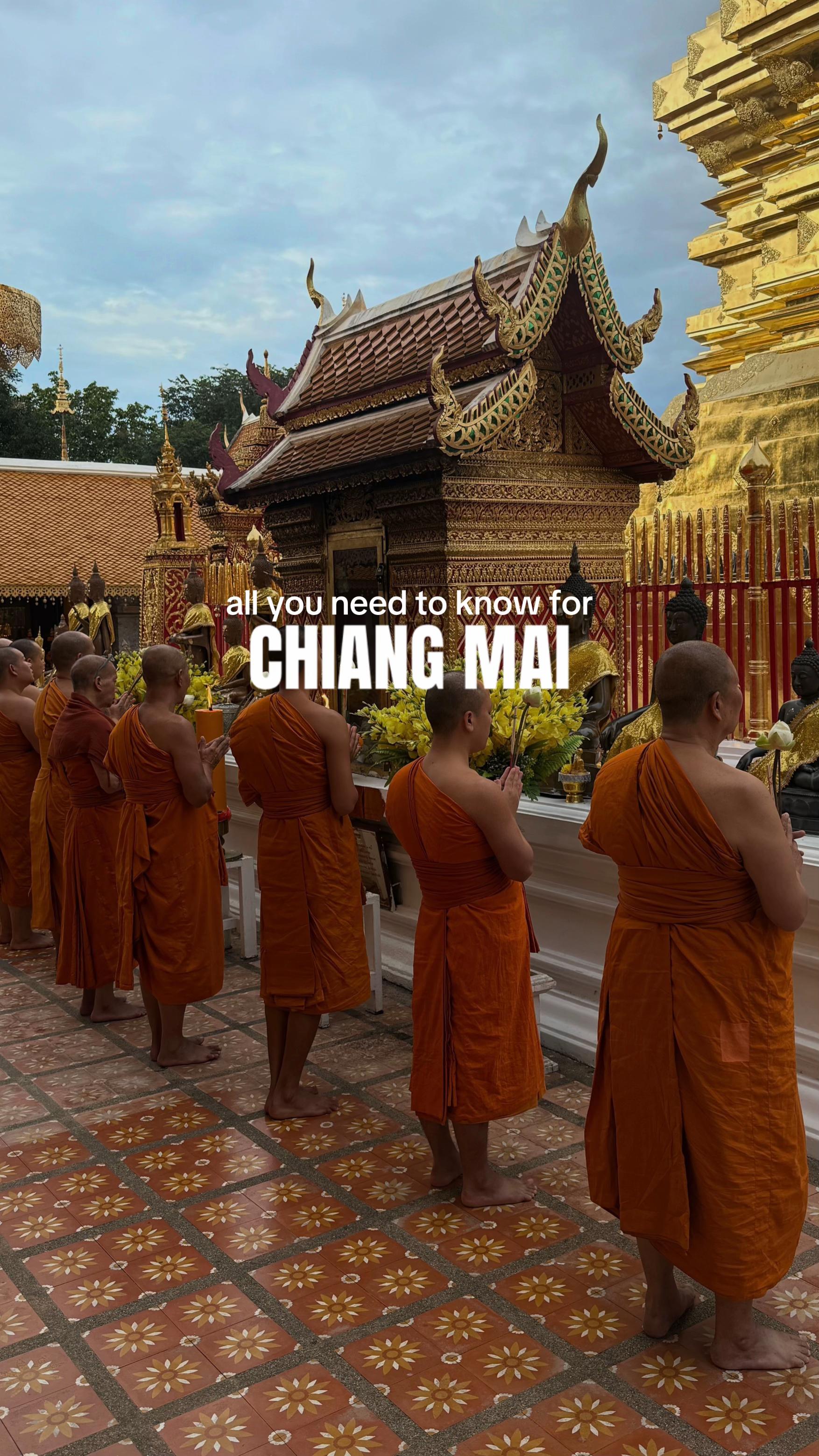 Chiang Mai Adventures: Temples, Nature, Food, and Matcha
