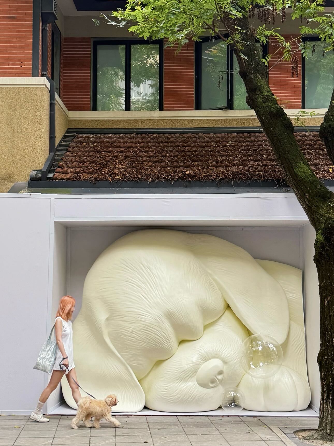 Dongping Road Features A Giant Sleeping Dog