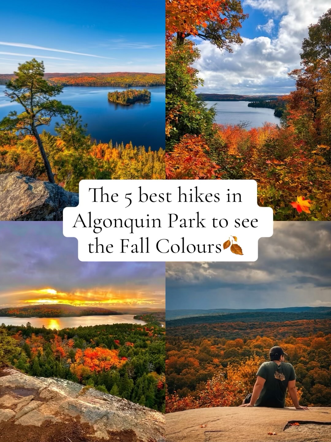 Algonquin Provincial Park's Best Fall Color Hiking Trails