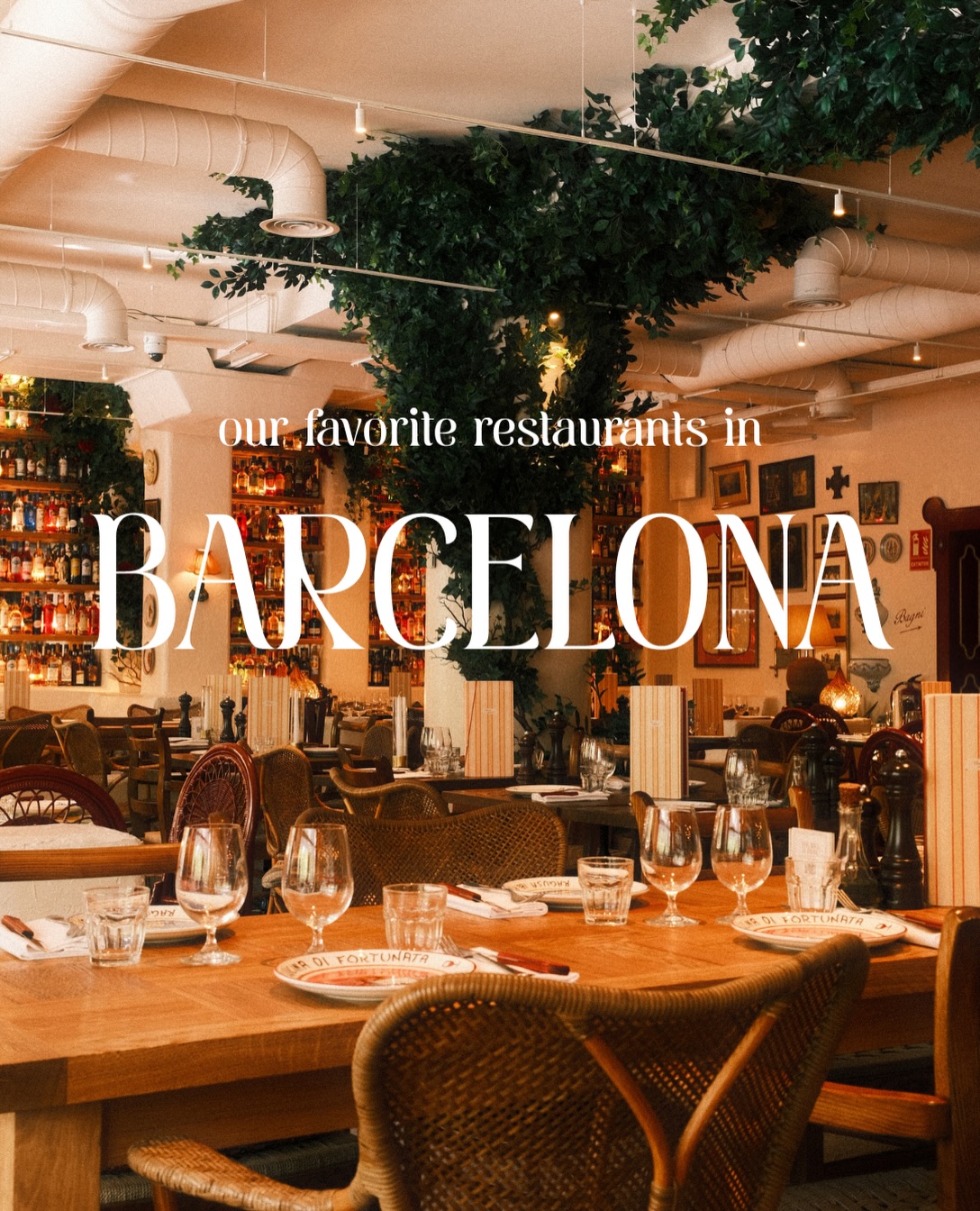 Barcelona's Top Recommended Restaurants For Any Visitor