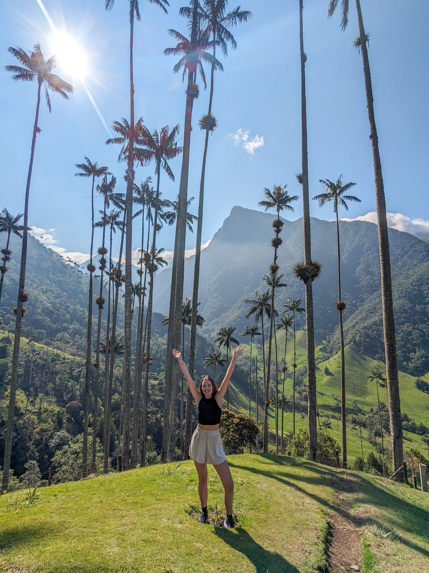 Salento and Cocora Valley Wax Palm Hikes