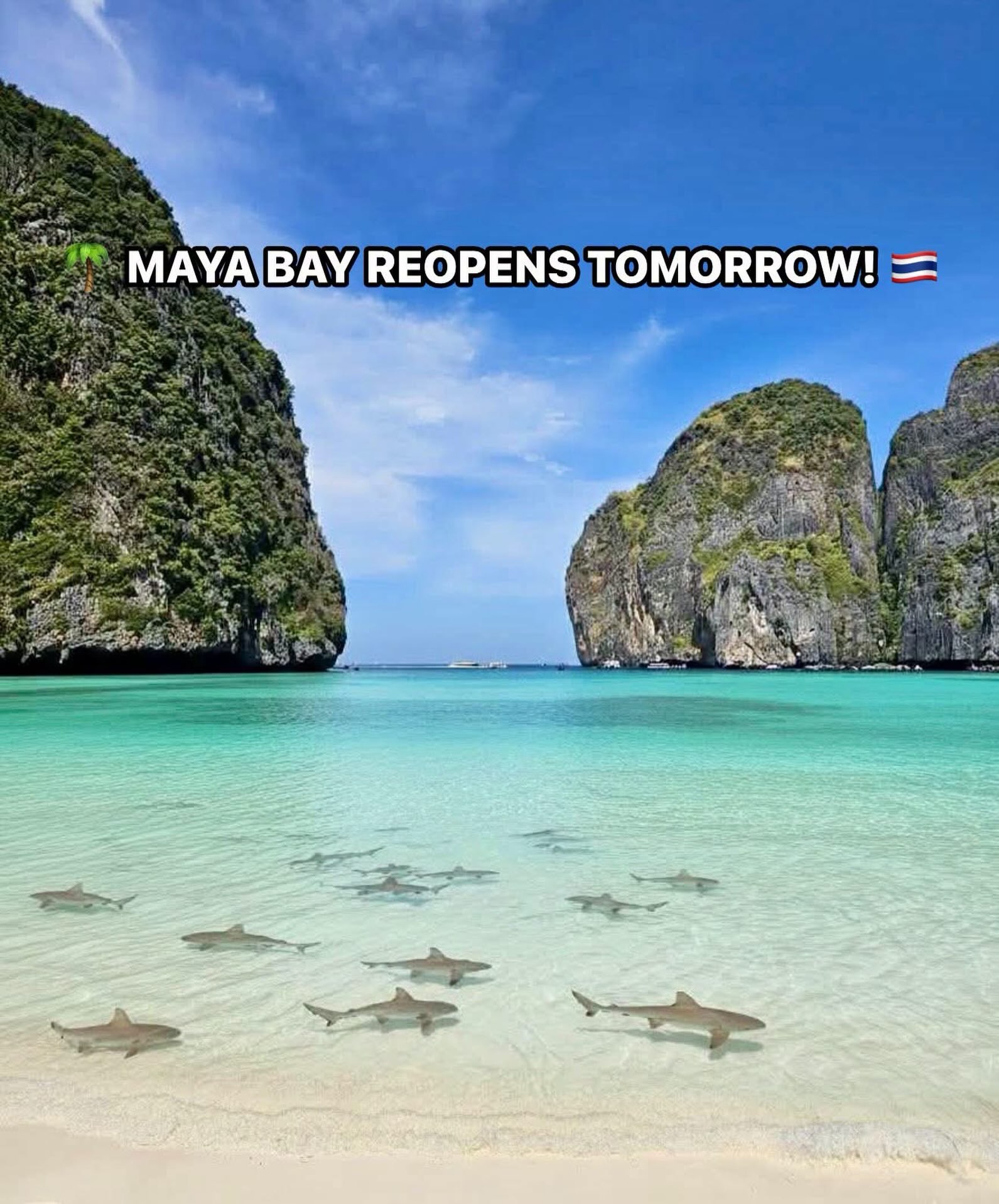 Maya Bay Reopens After Ecological Closure
