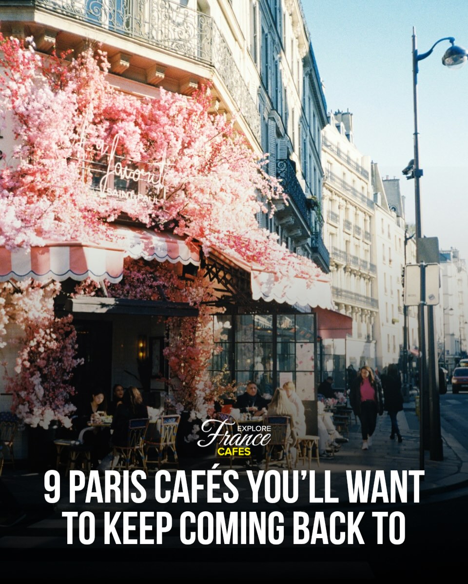 Charming Parisian Cafes Worth A Second Visit