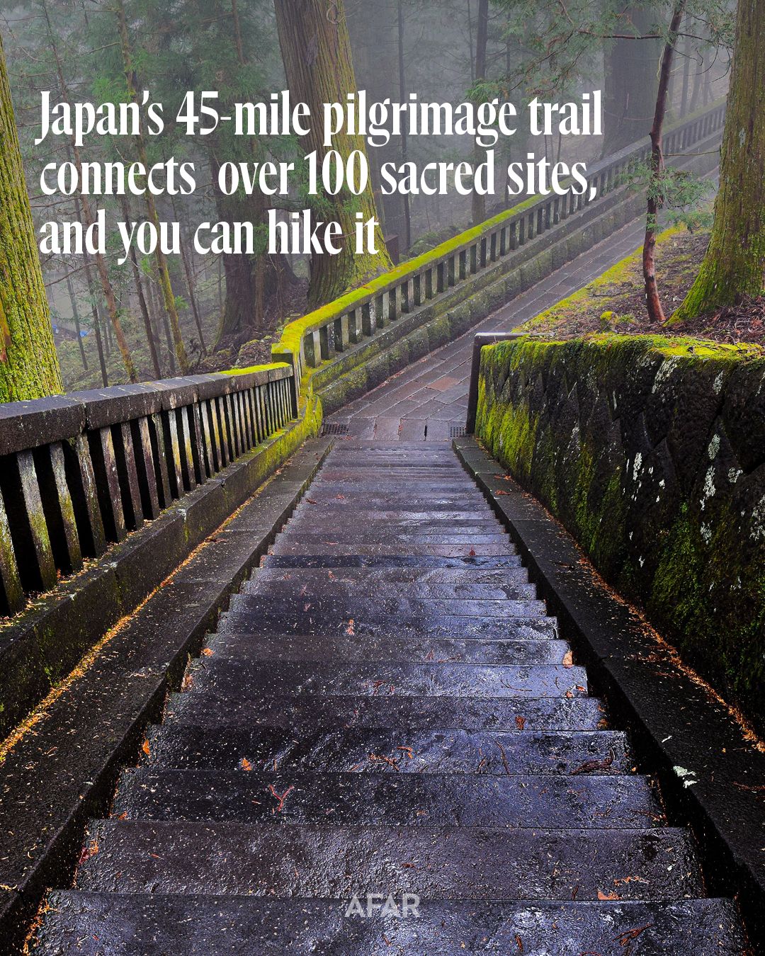 Sacred Kumano Kodo Trails Through Ancient Forests
