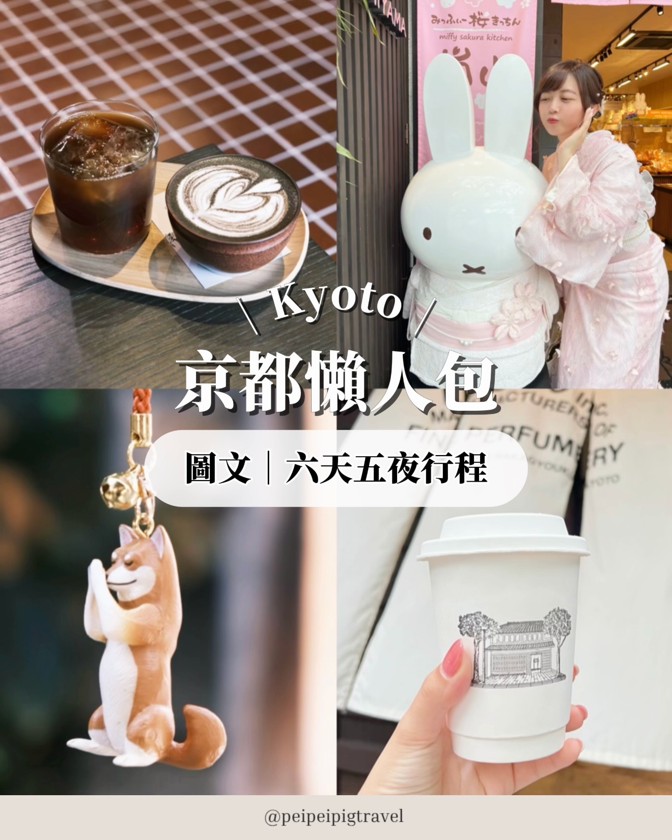 Kyoto City, Arashiyama, and Uji Attractions