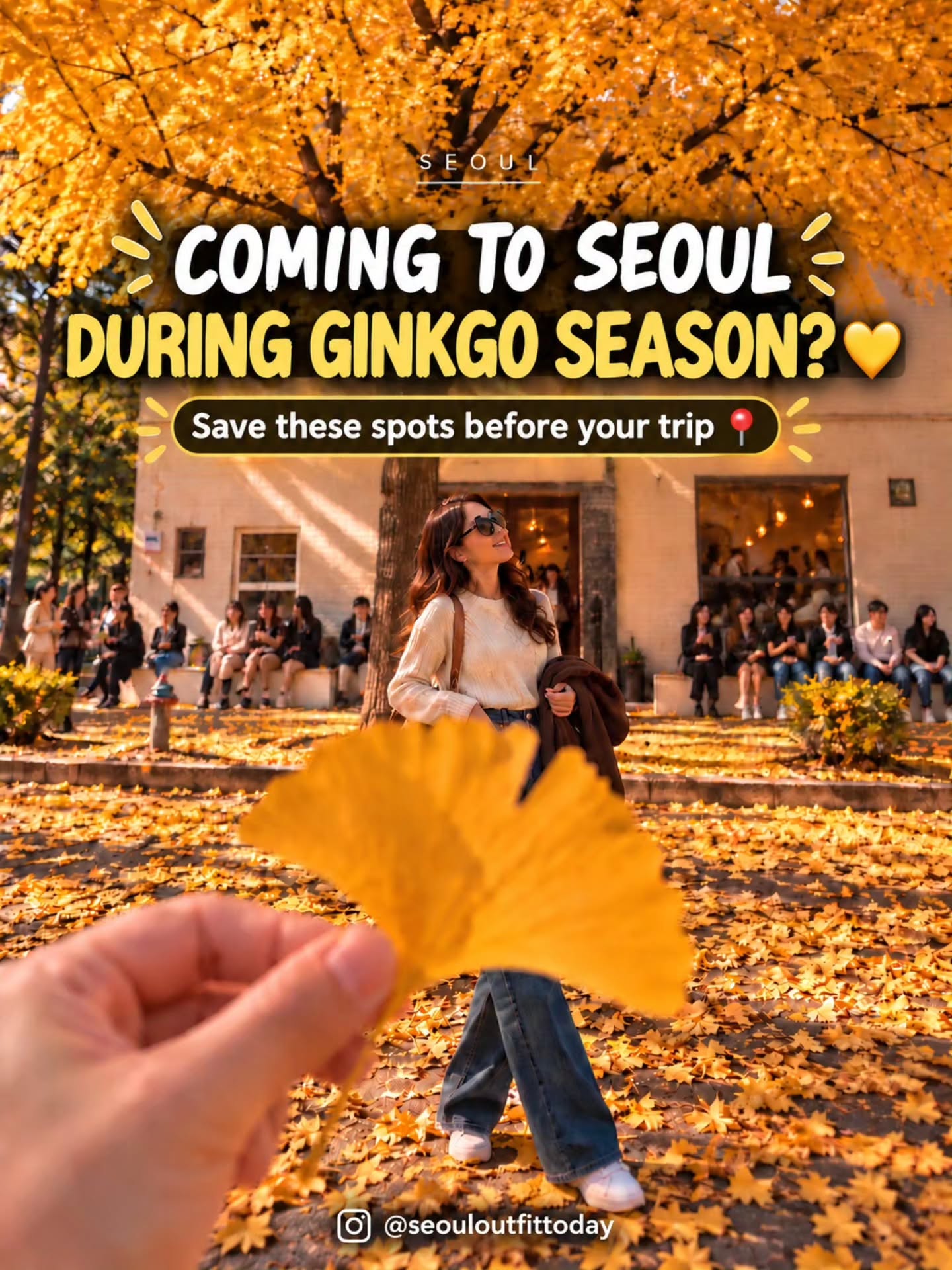 Seoul's Top Ginkgo Tree Viewing Spots
