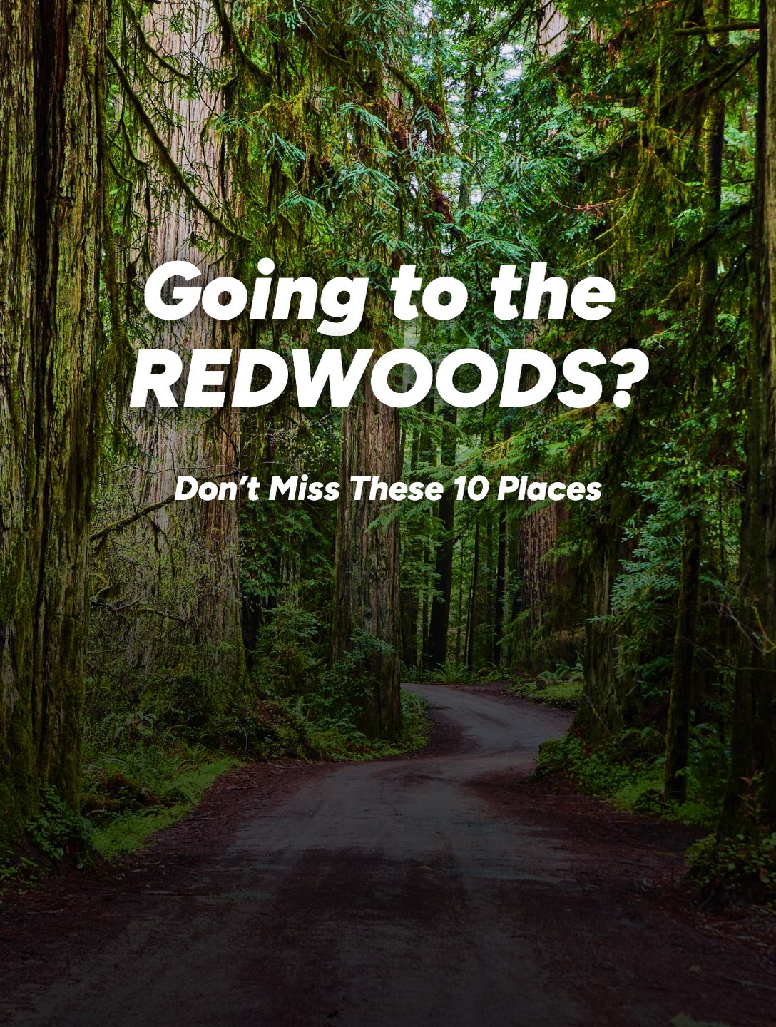 Redwoods National Park: Top 10 Natural Wonders
