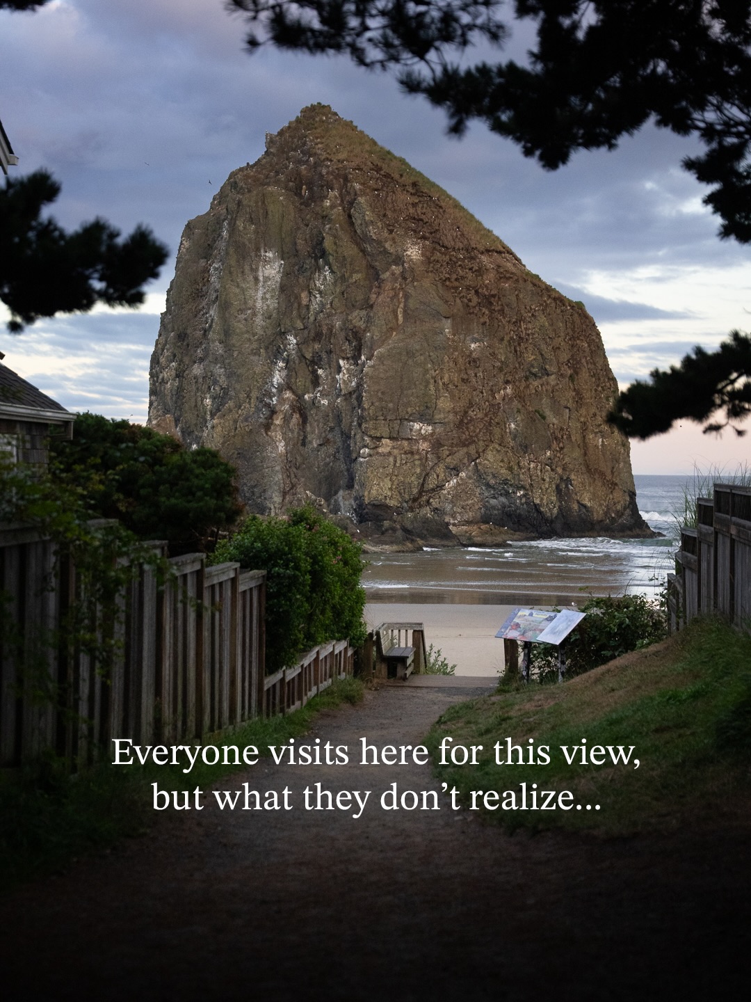 Explore Oregon Coast Nature Near Cannon Beach