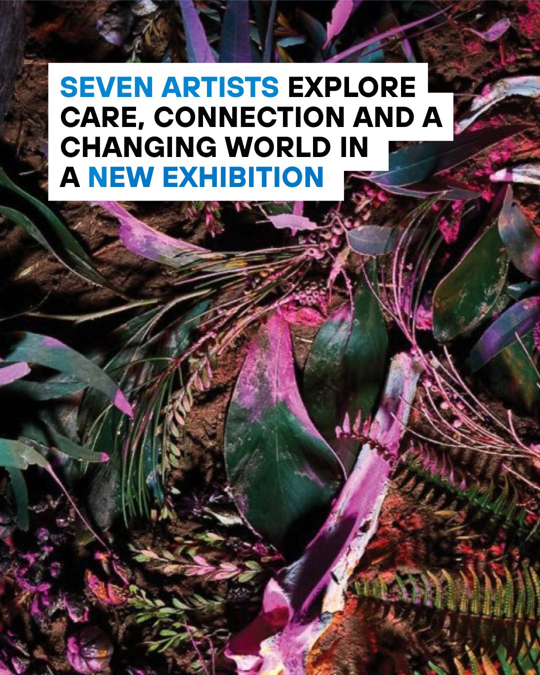 Adelaide Exhibition Explores Eco-Anxiety Through Art