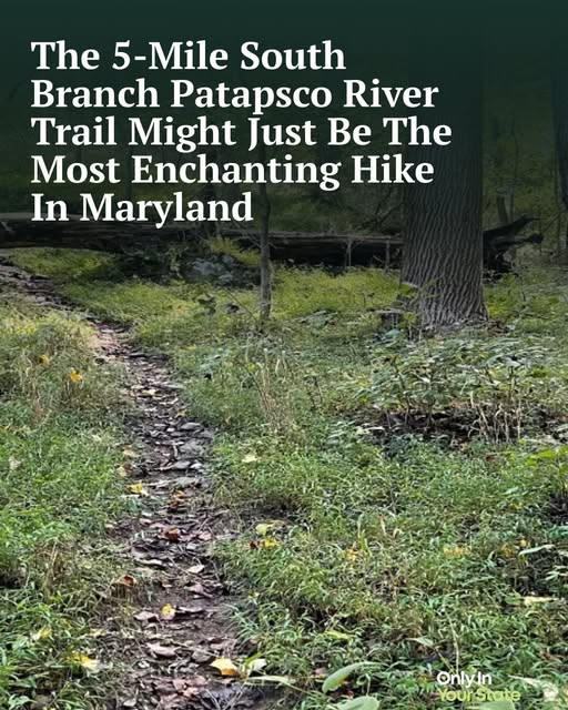 South Branch Patapsco River Trail Enchantment