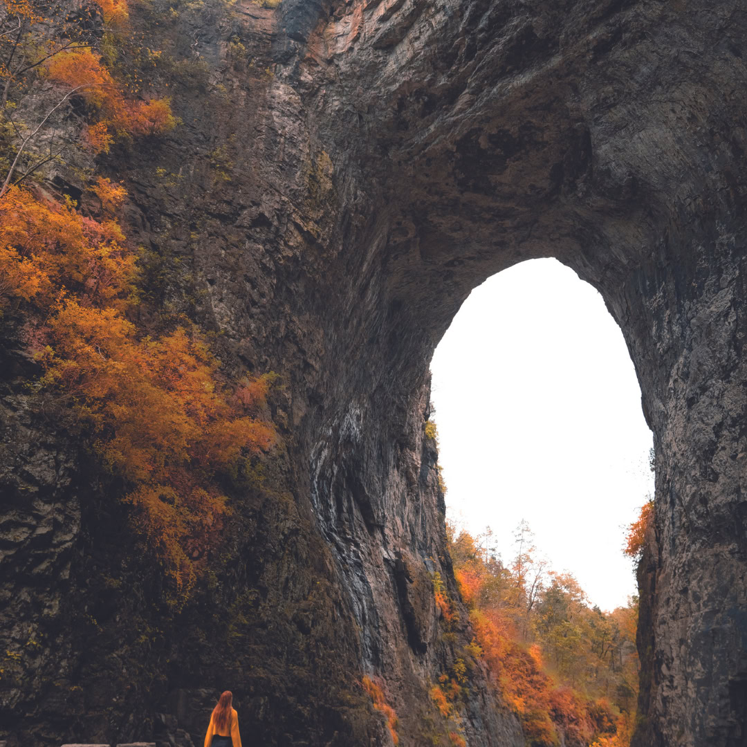 Natural Bridge State Park's Geological Wonder