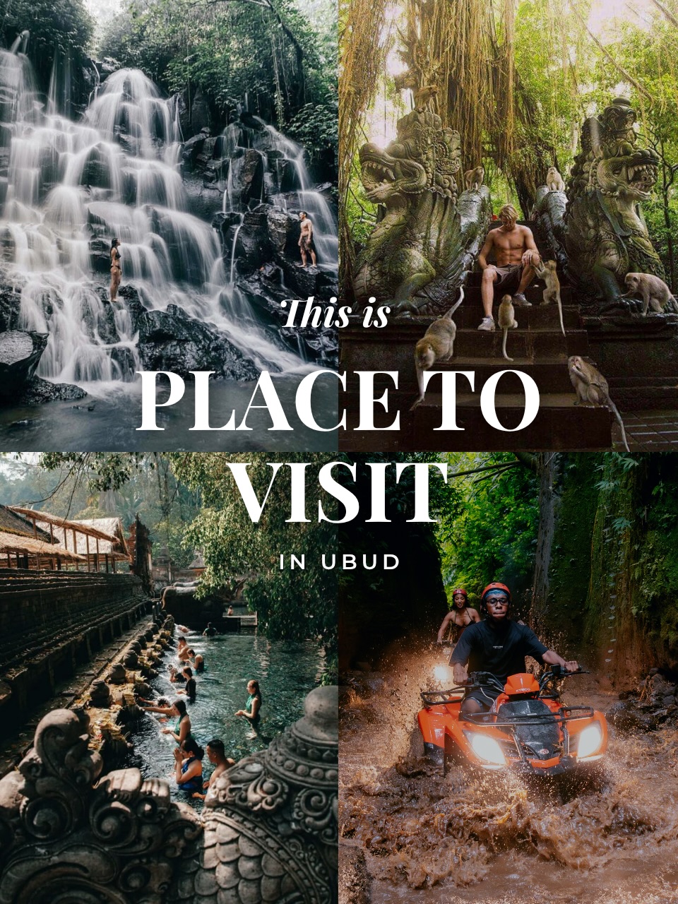 Ubud's Sacred Monkey Forest and Waterfalls