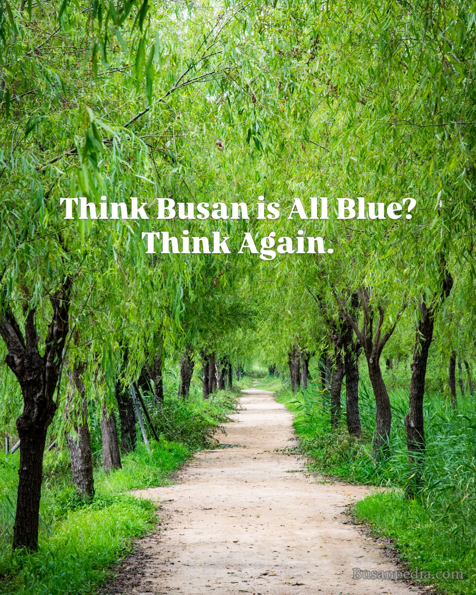 Samnak Eco Park: Busan's Nature Escape