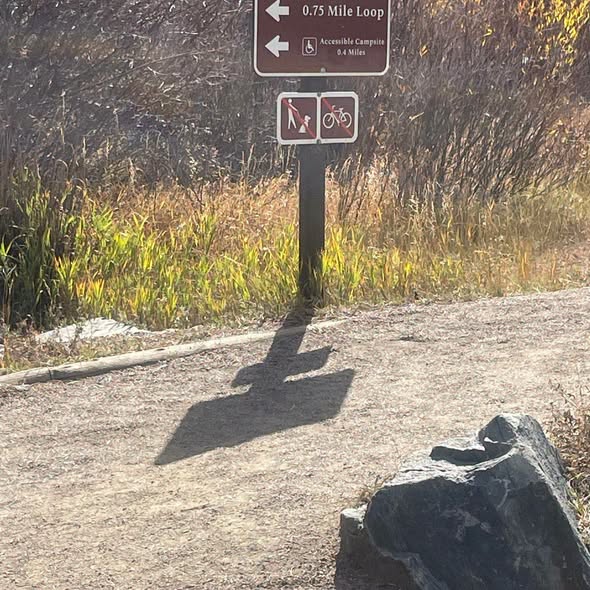 Rocky Mountain National Park's Easy Access Lake Trails