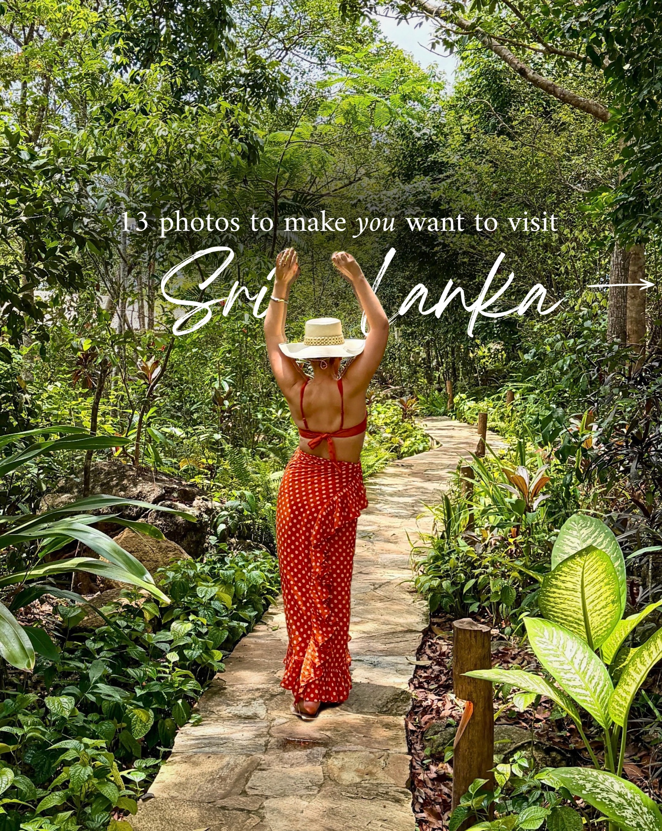 Sri Lanka Travel Guide: Safari, Dining, and Stays