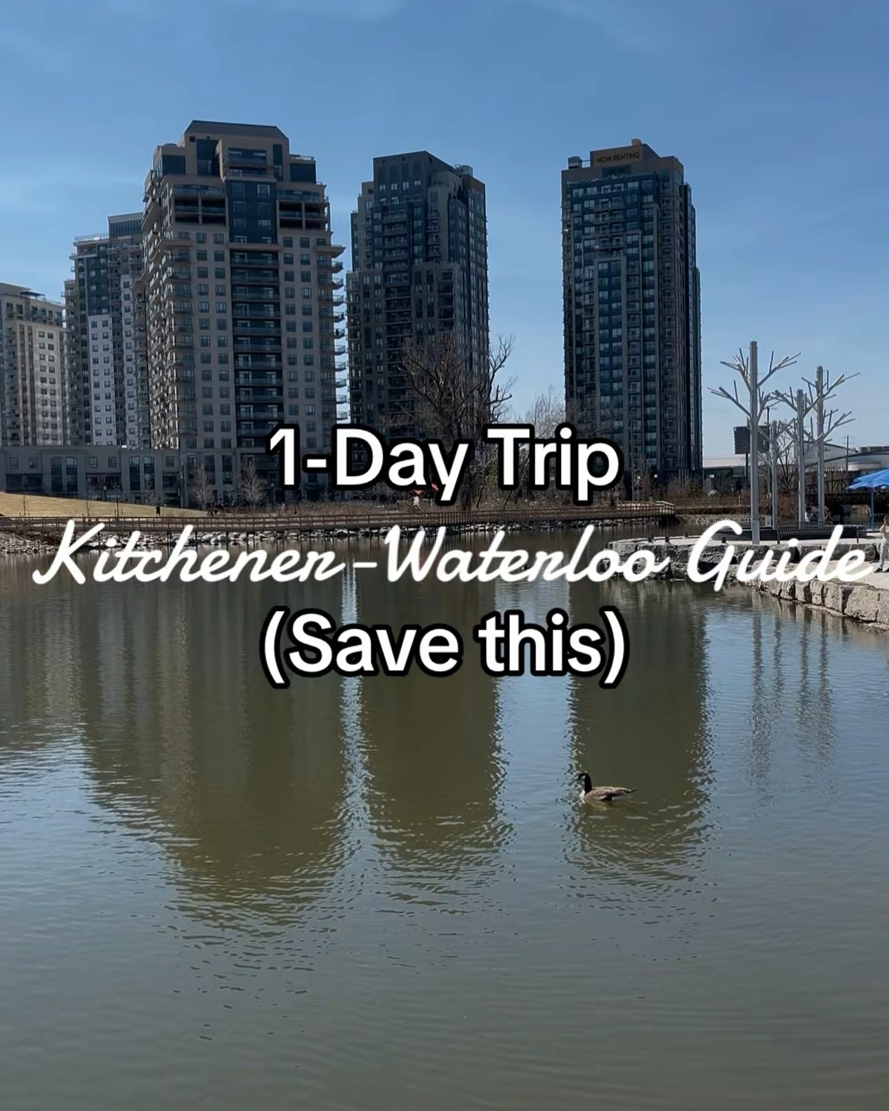 Kitchener-Waterloo Guide For Dining And Exploration