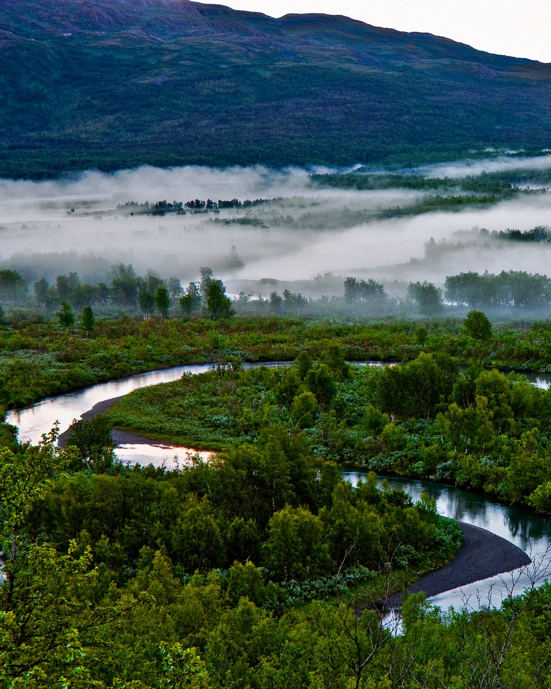 Swedish National Parks Shrouded in Autumn Fog
