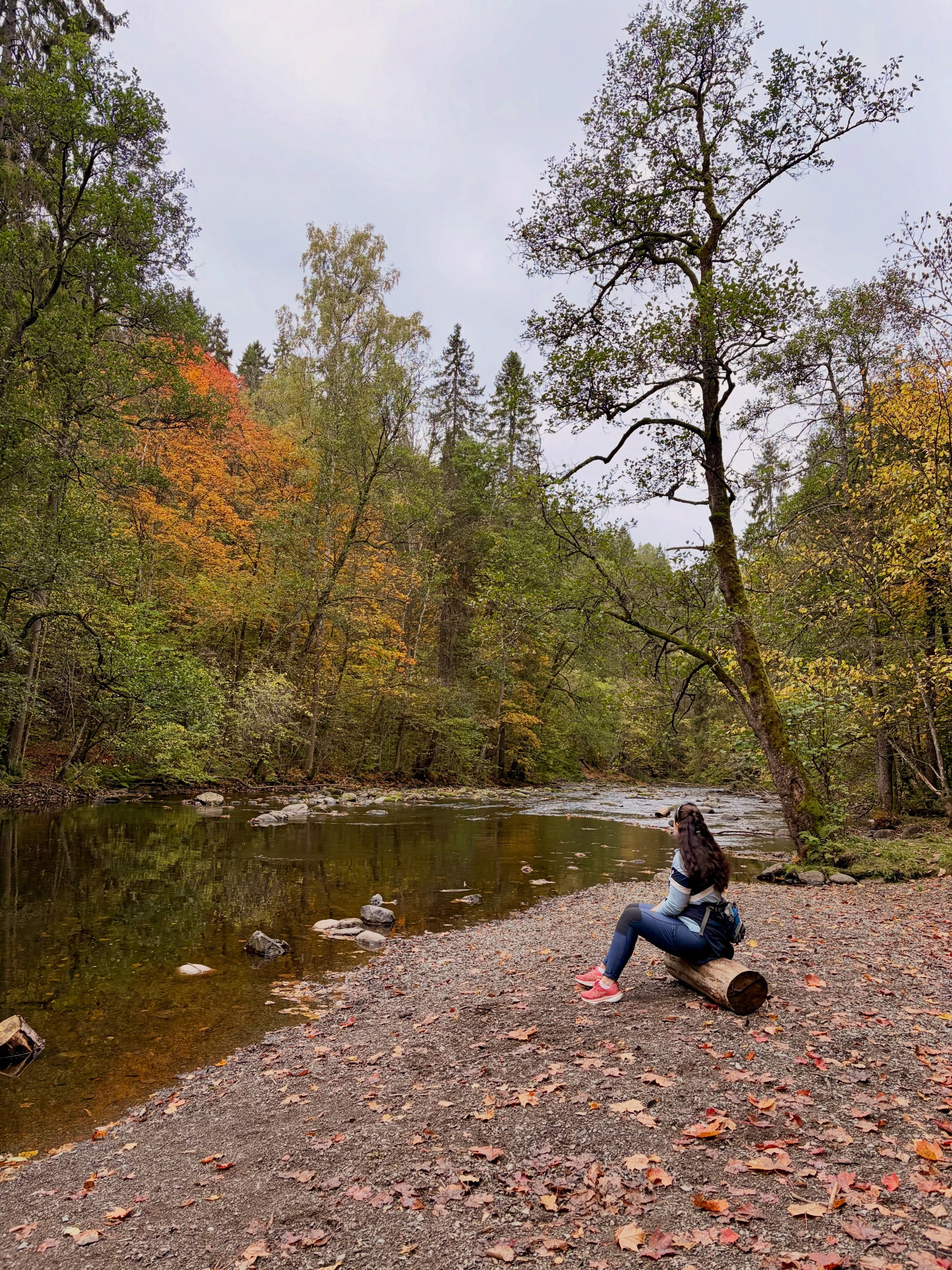 Exploring Lysakerelva's Waterfalls and Forests