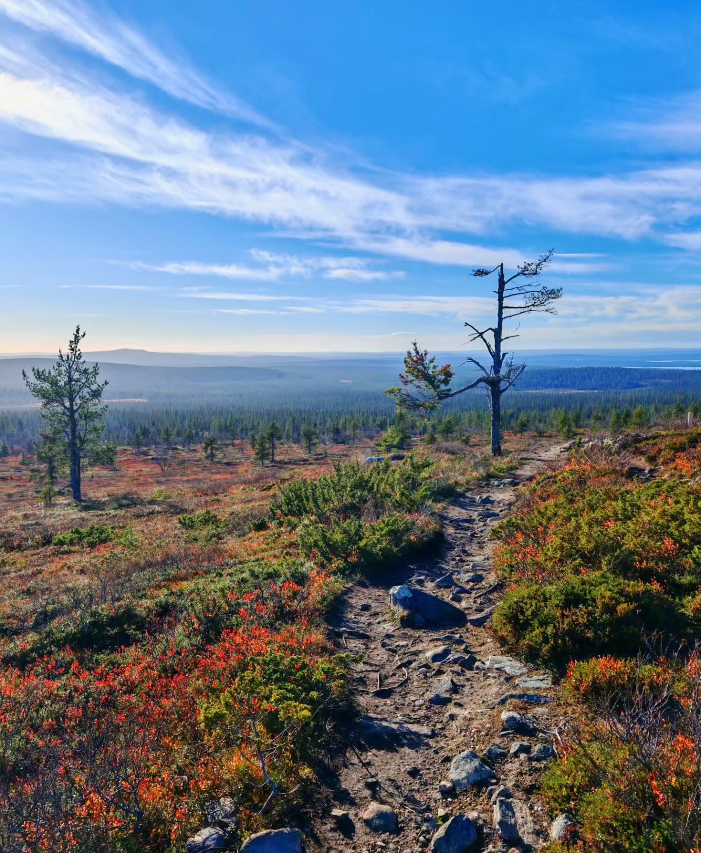 Finnish Fells Offer Panoramic Views and Reindeer Sightings