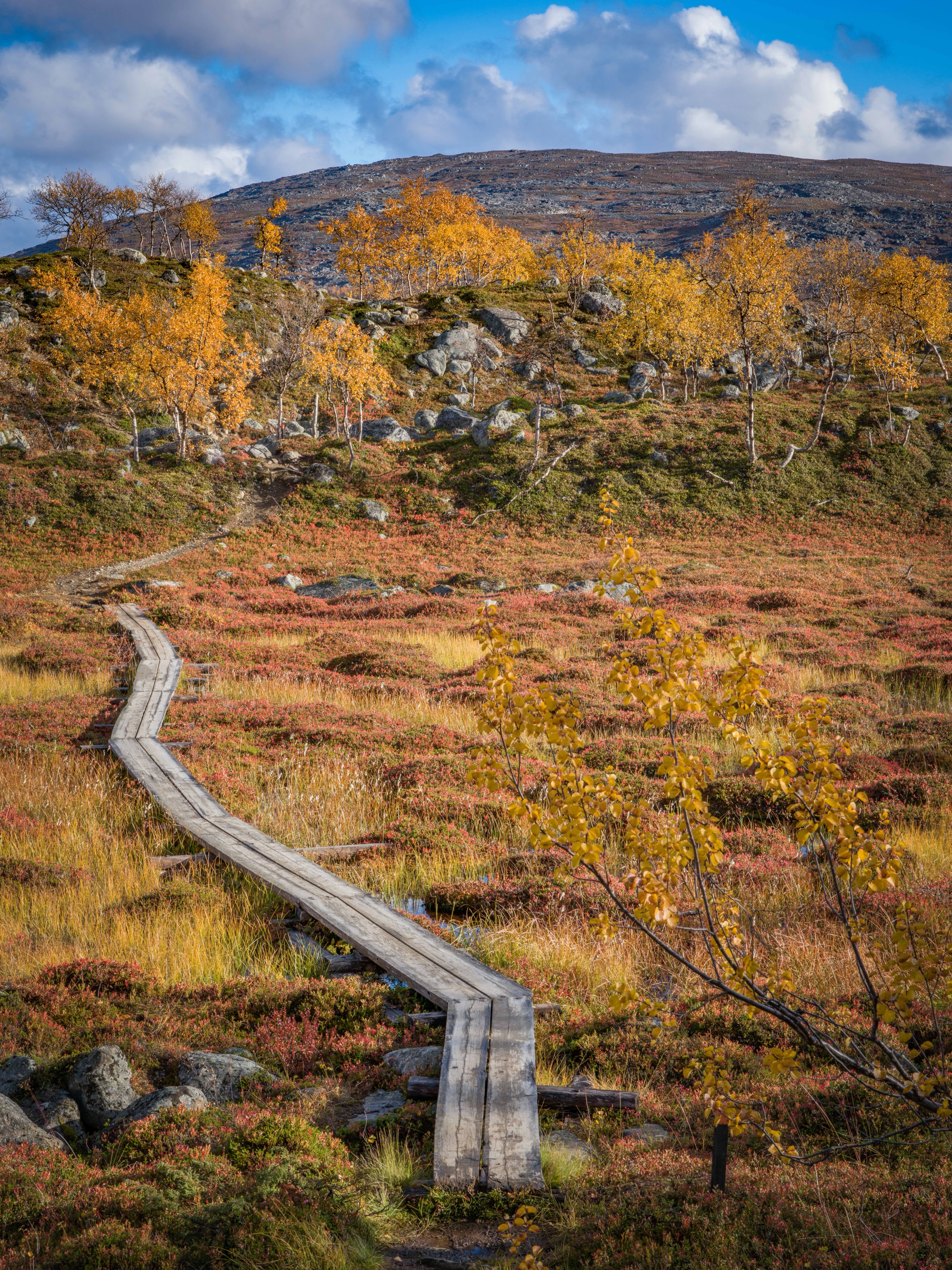 Kilpisjärvi's Autumn Mountain and Lake Photography