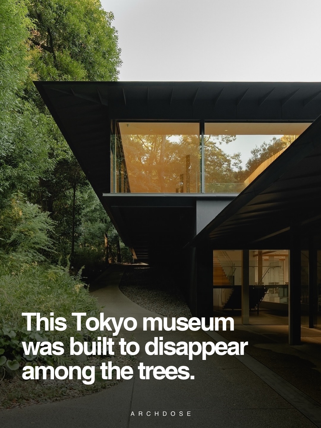Meiji Jingu Museum Embraces Surrounding Forest
