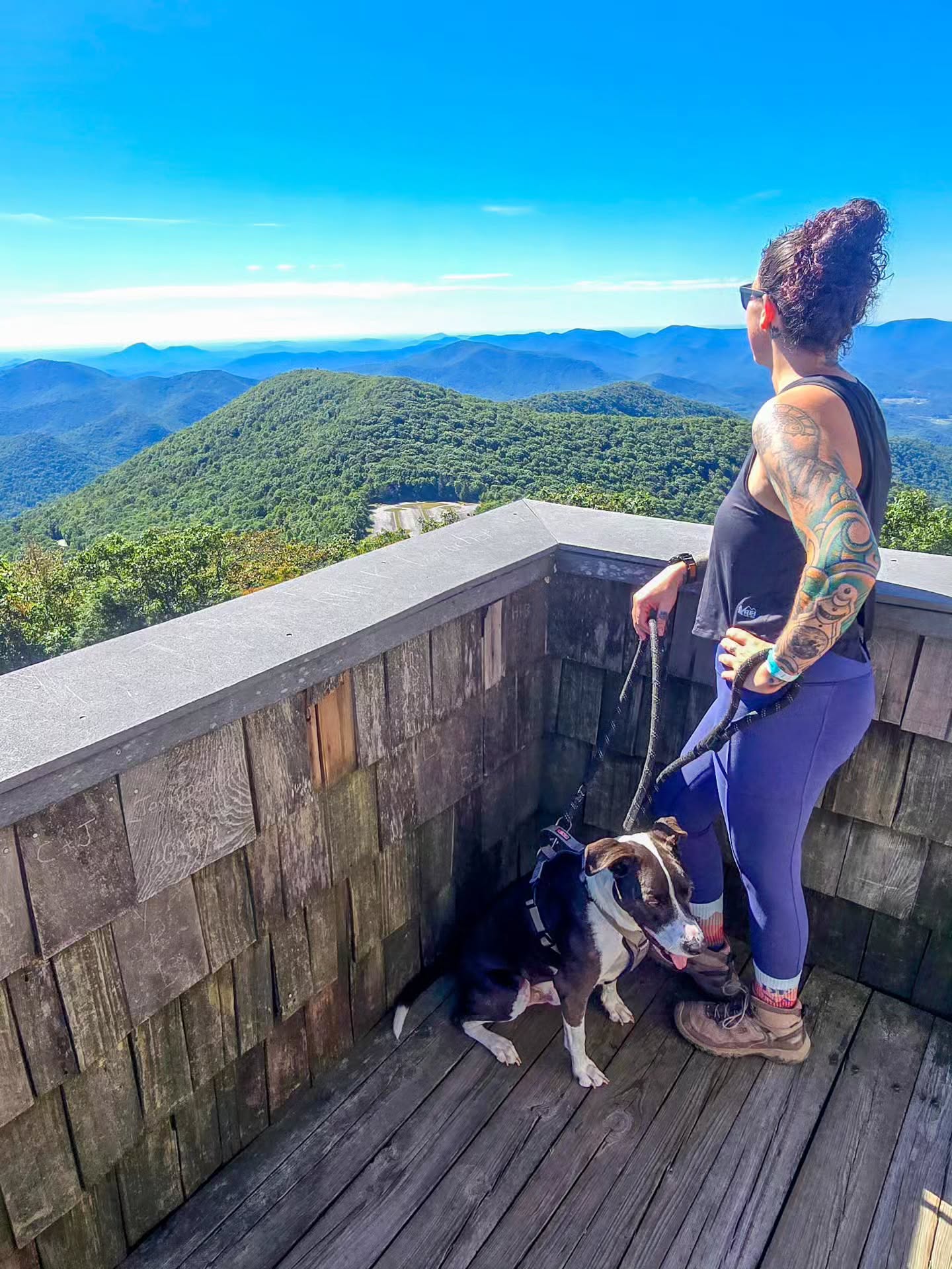 Georgia's Highest Point And Surrounding Hiking Trails