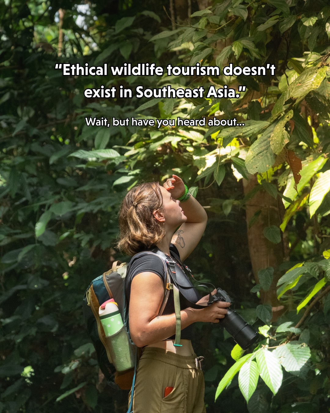 Ethical Wildlife Sanctuaries And Eco-Tours In Southeast Asia