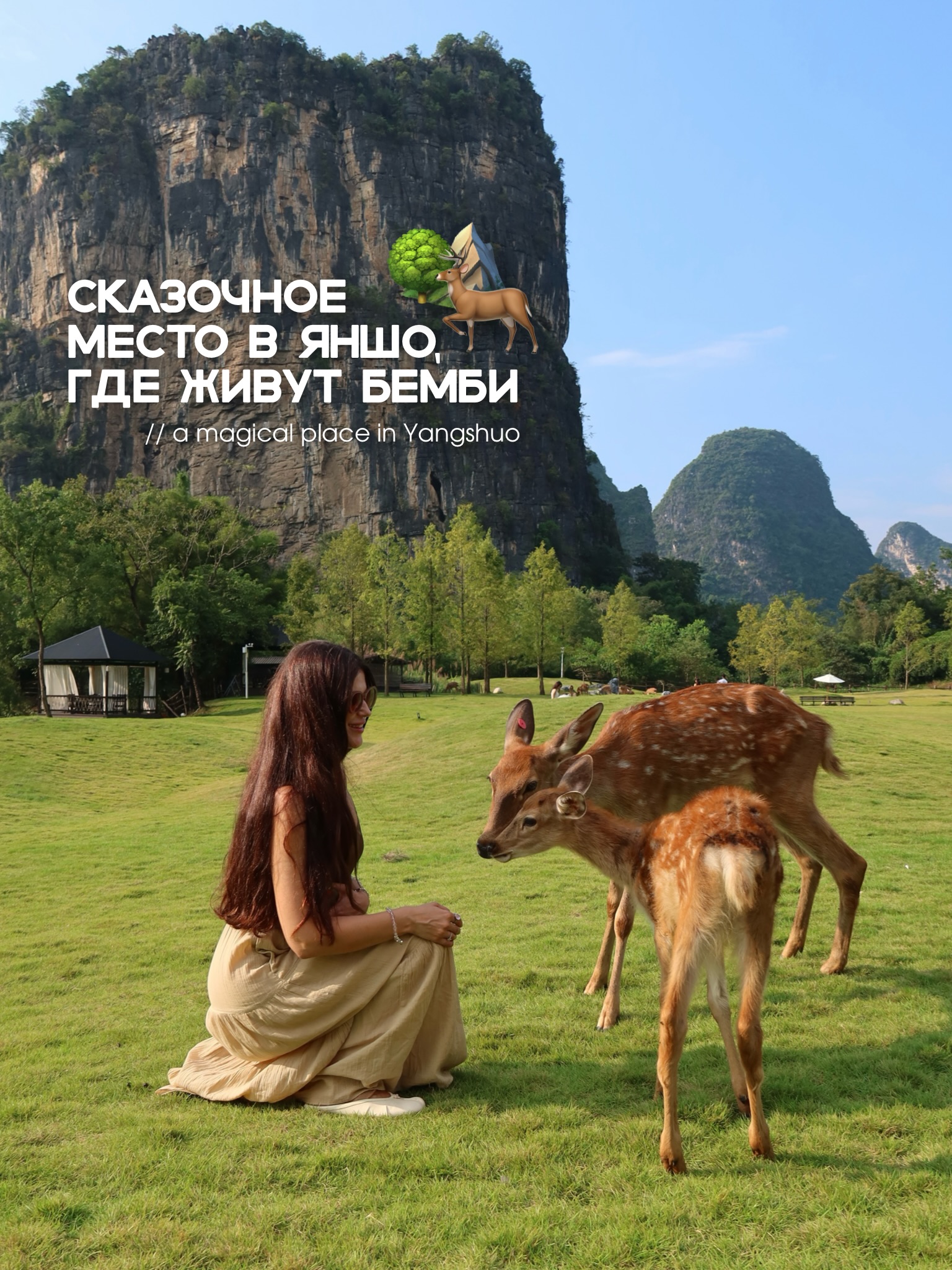 Yingman Hotel: Magical Deer Interaction in Yangshuo