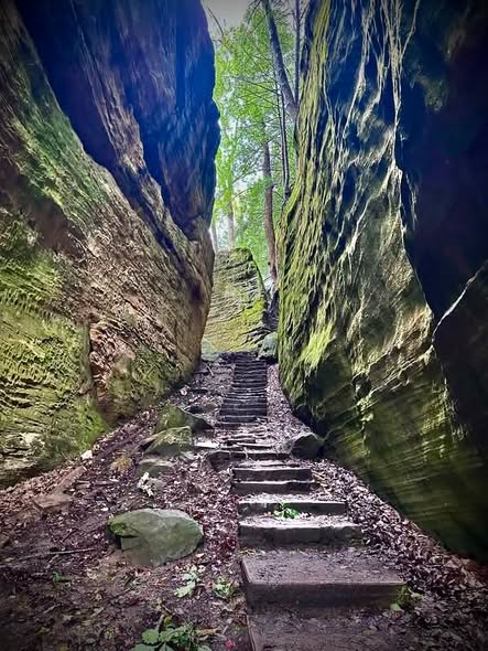 Hocking Hills Hikes: Cantwell Cliffs and Old Man's Cave