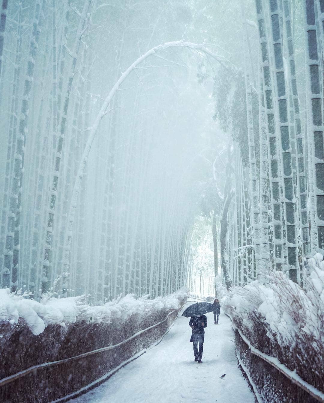 Snowy Arashiyama Bamboo Forest in Kyoto