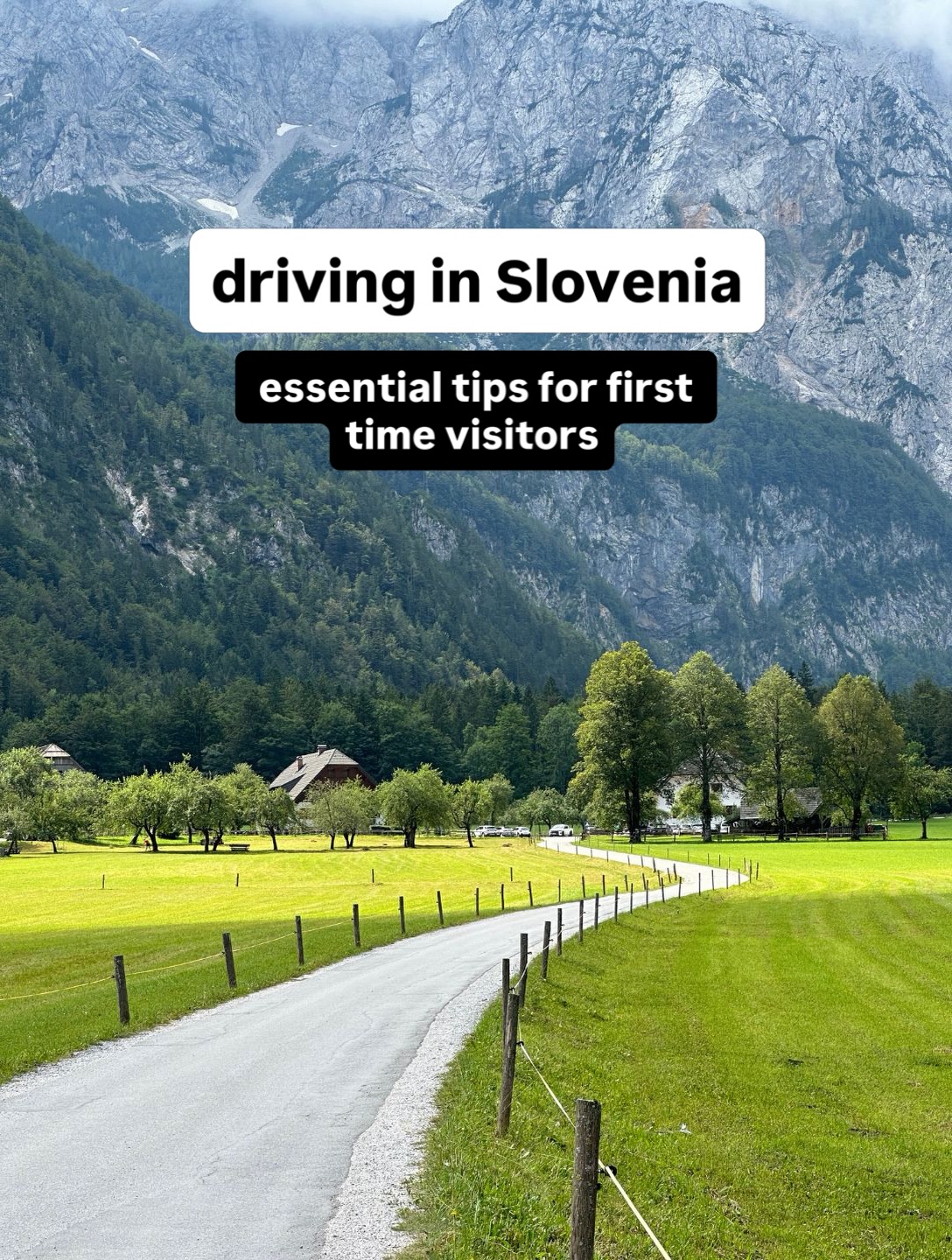 Scenic Slovenia Road Trip: Mountains, Vineyards, and Coast