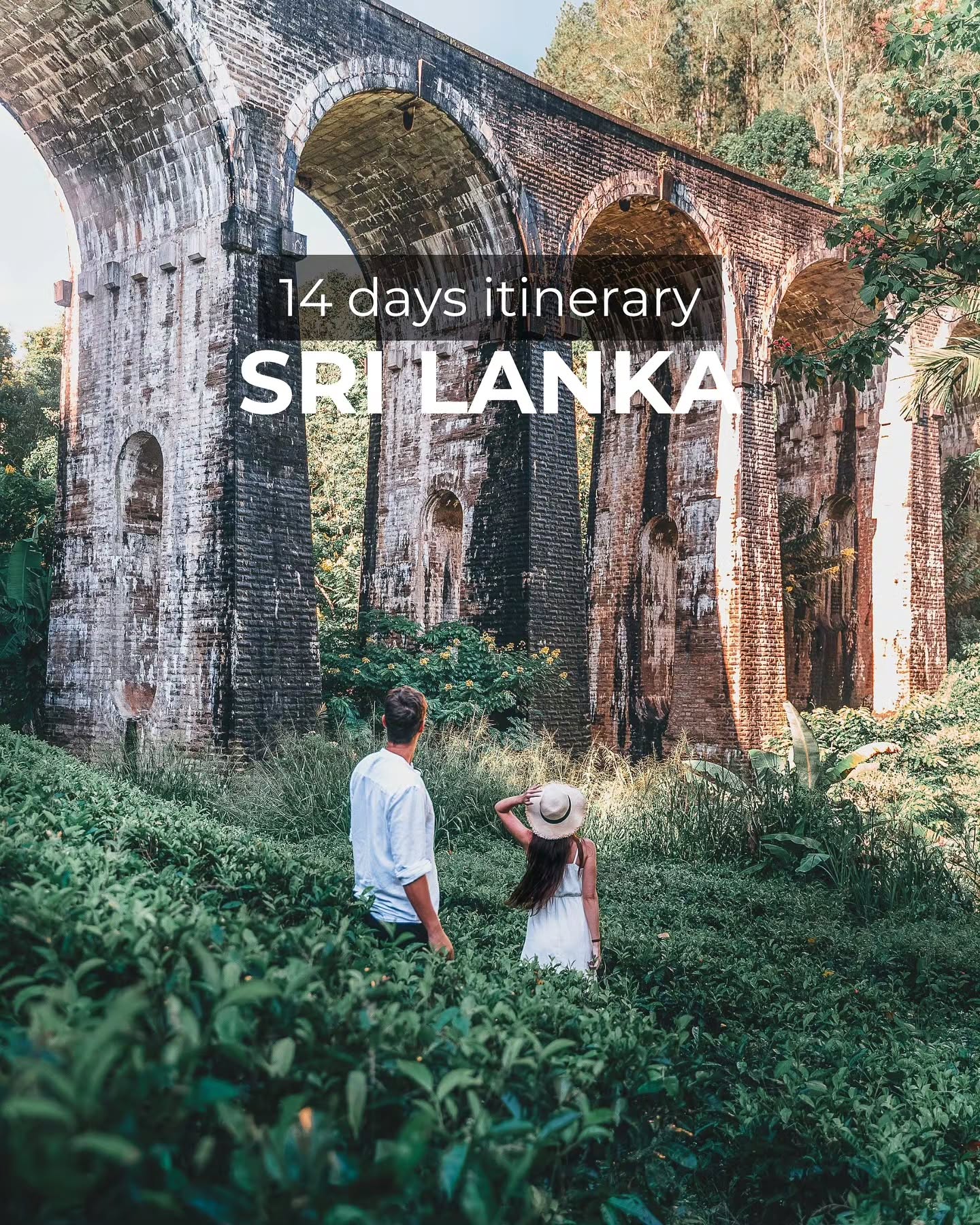 Sri Lanka's Cultural, Natural, and Beach Highlights