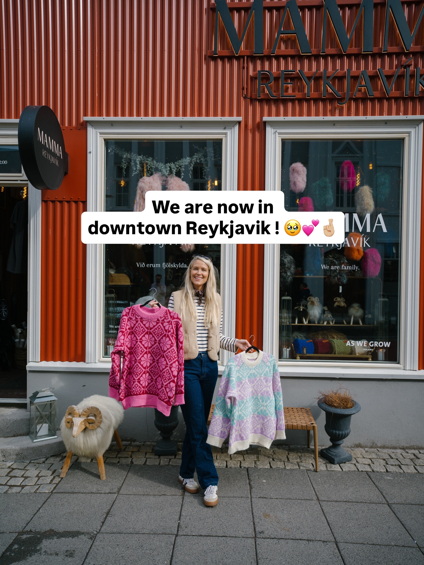 Reykjavik's Iconic Sights and Local Shops
