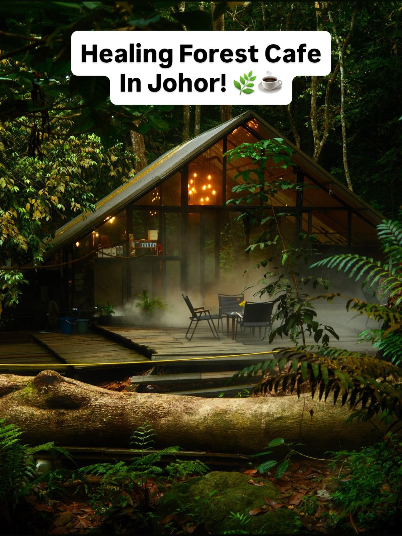 Kluang Forest Cafe Offers Relaxing Escape