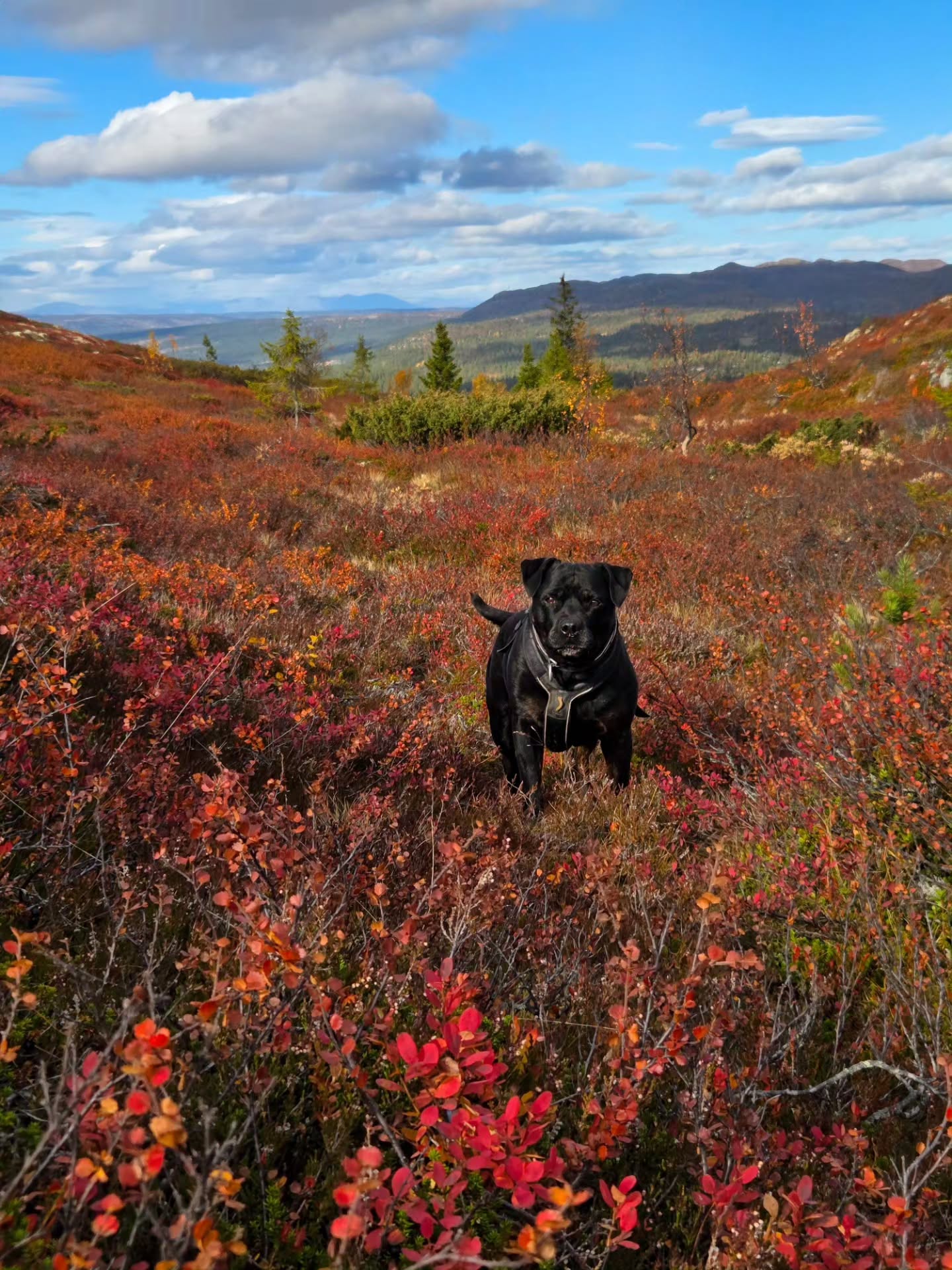 Mountain Hikes Feature Autumn Colors