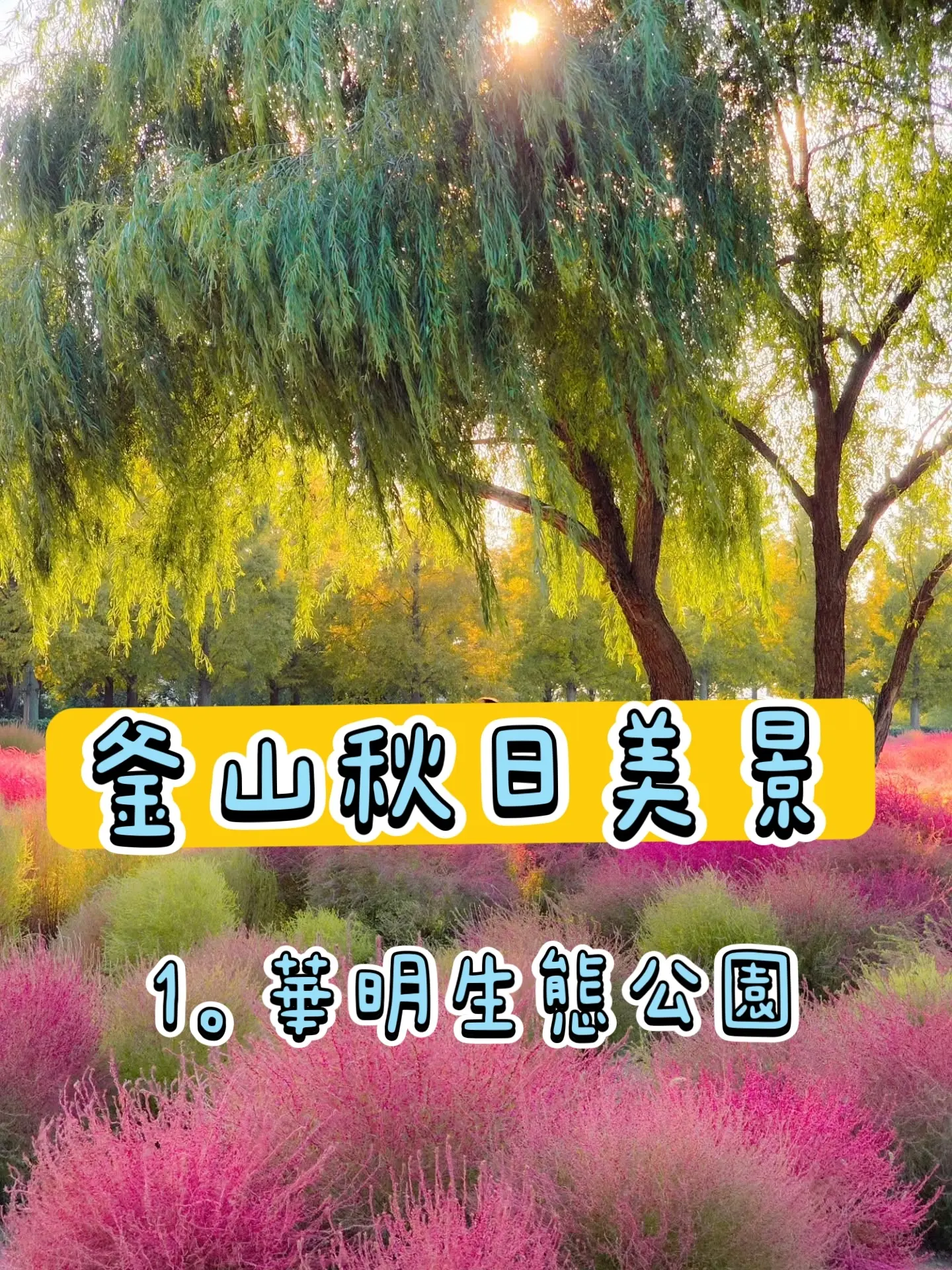 Busan's Top 10 Autumnal Parks and Scenic Spots