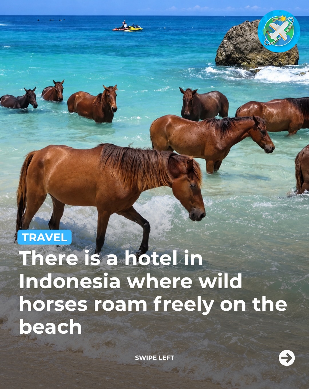 Wild Horses Roam Free At Indonesian Resort