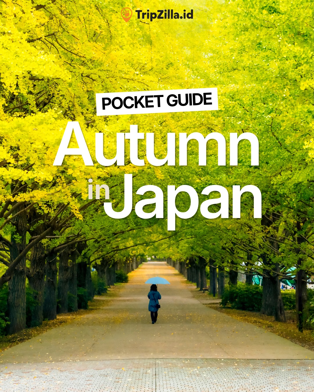 Japan's Best Autumn Foliage Viewing Spots
