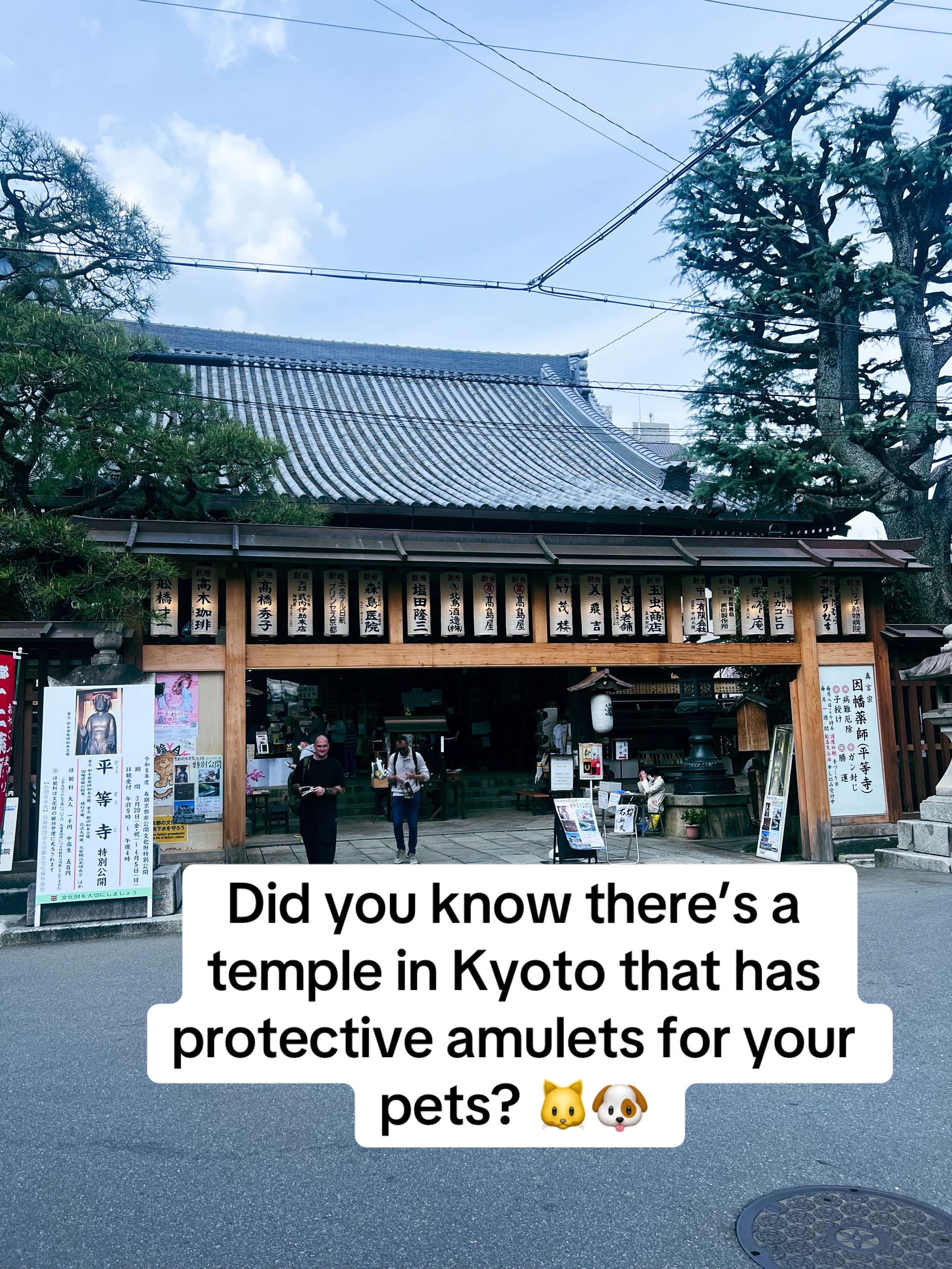 Kyoto Temple Offers Pet Amulets For Protection