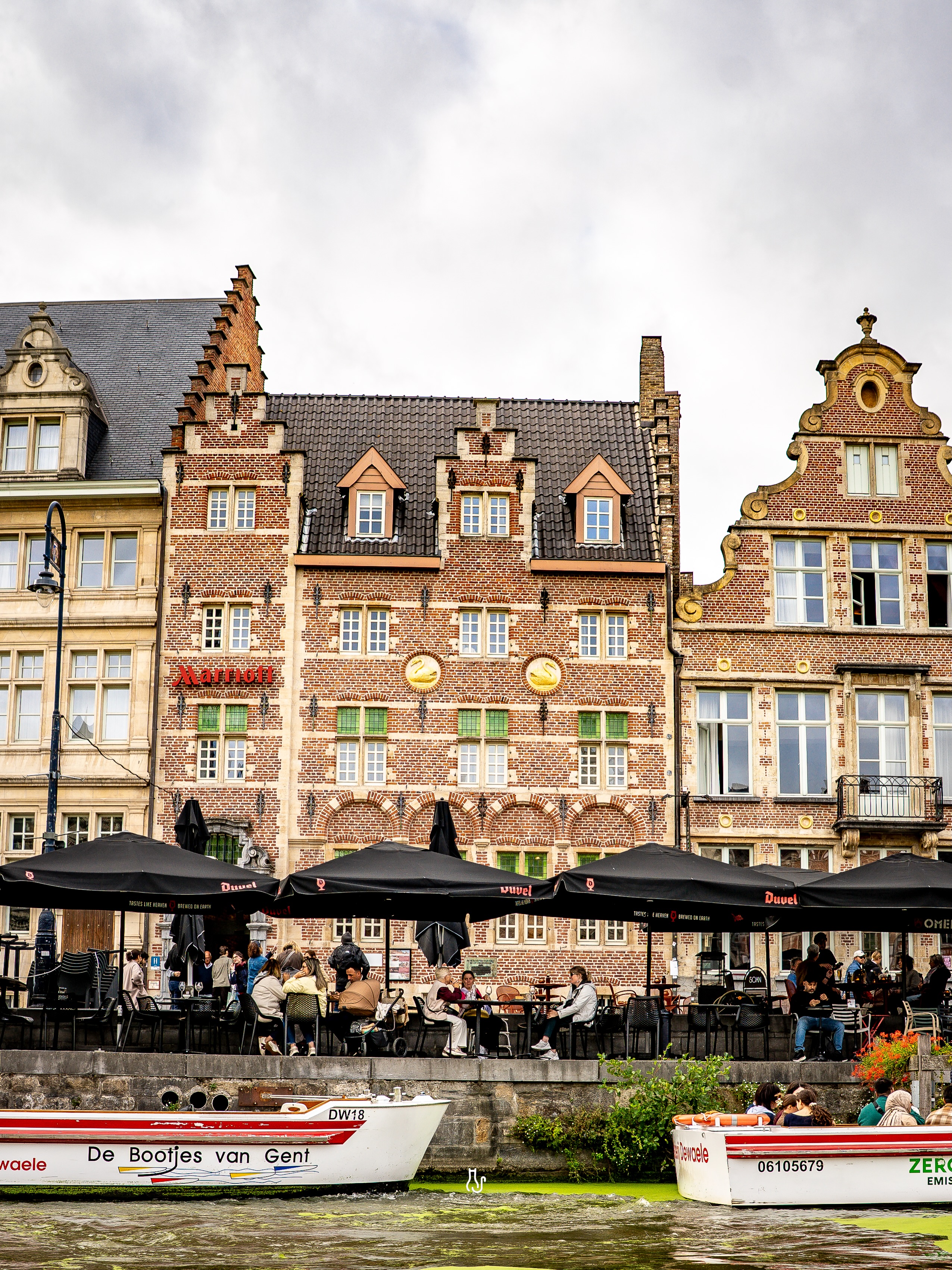 Ghent's Historic Swans: Folklore and Hotel Facade