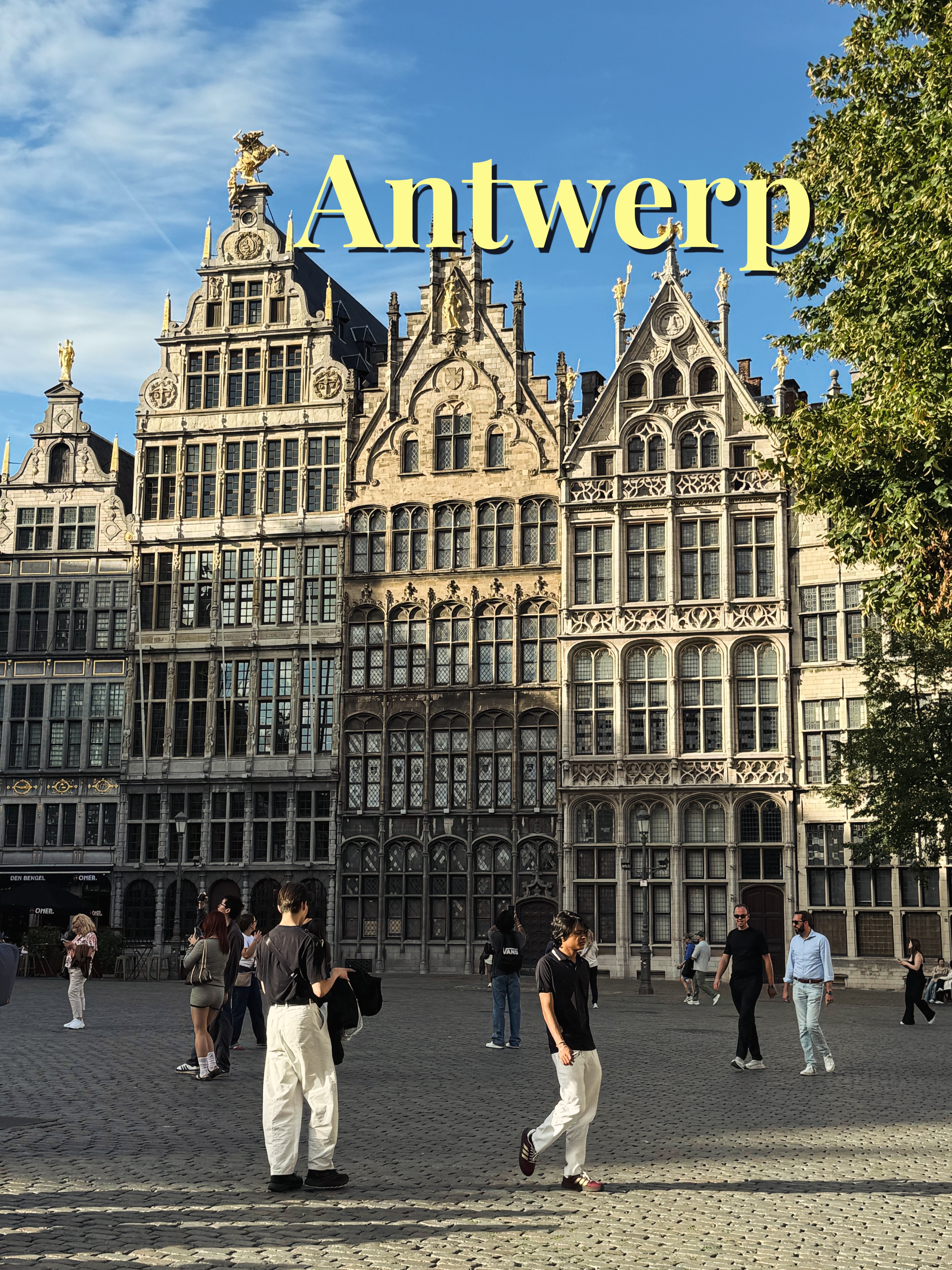 Antwerp's Architectural Gems and Refreshing Swim