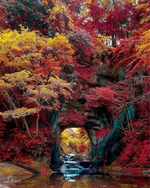 Nomizono Falls Scenic Waterfall