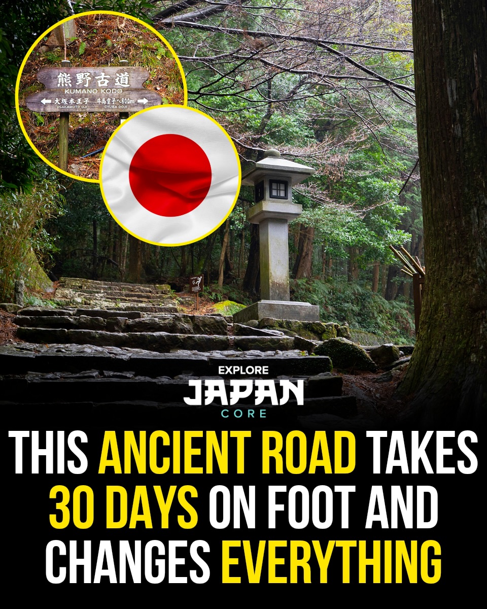 Pilgrimage Trails and Temples of Japan
